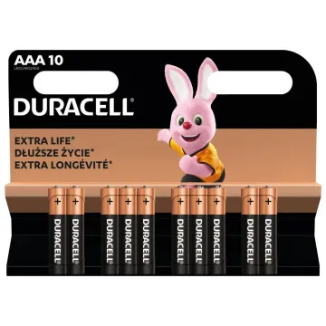 Duracell Duralock Basic C&B LR6 AA Alkaline Battery (blister) (DUR20369)