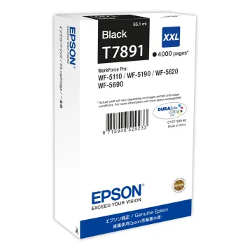 Epson Μελάνι Inkjet T7605 Light Cyan (C13T76054010) (EPST760540)
