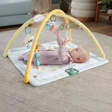 Fisher-Price Sensimals Simply Senses Newborn Gym (HRB15) (FISHRB15)