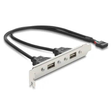 DELOCK κάρτα επέκτασης USB 9pin σε 2x USB 2.0 91800, 480Mbps
