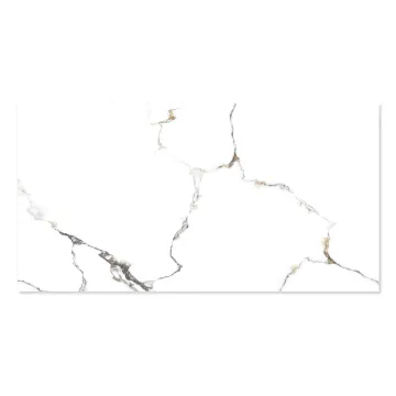 WINGRESS πλακάκι WNC-METAL-WHITE, 120x60cm, glossy finish, metal white, 2τμχ 1.44m²