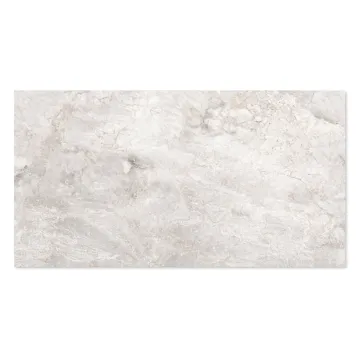 WINGRESS πλακάκι WNC-BRACIA-SILVER-GREY, 120x60cm, glossy finish, bracia silver grey, 2τμχ 1.44m²