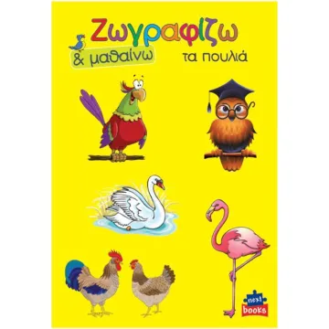 Next βιβλίο ζωγραφίζω και μαθαίνω 