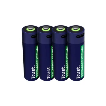 USB-C RECHARGEABLE BATTERIES 4P - AA