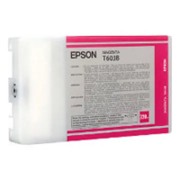 EPSON Cartridge Magenta C13T603B00