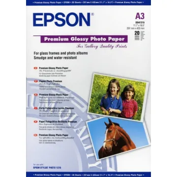 EPSON Paper Premium Glossy Photo C13S041315