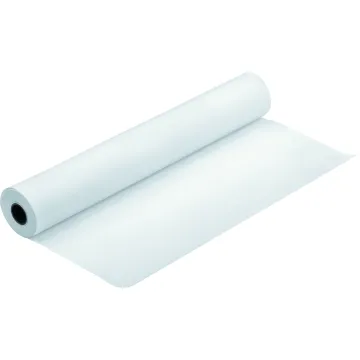 EPSON Paper Proofing White Semimatte C13S042003