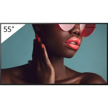 SONY Professional Display Bravia FW-55BZ40L 55"