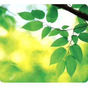 FELLOWES Mousepad Earth Series Leaves