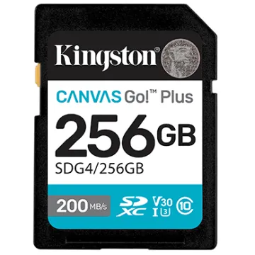 256GB SDXC CANVAS GO PLUS G4