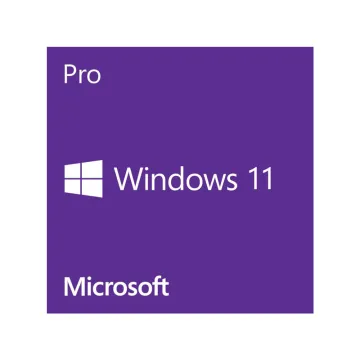 Win 11 Pro 64Bit Eng Intl 1pk DSP OEI DV