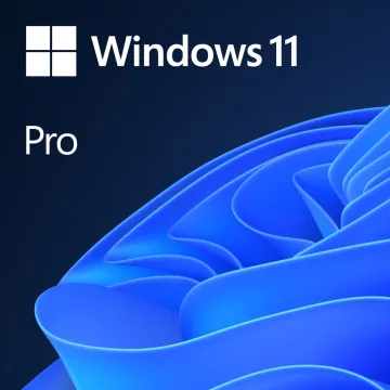 WIN PRO FPP 11 64-bit EU (ESD)