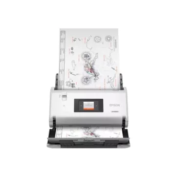 ΣΑΡΩΤΗΣ EPSON Epson Workforce DS-30000