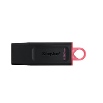 KINGSTON USB FLASH DTX/256GB