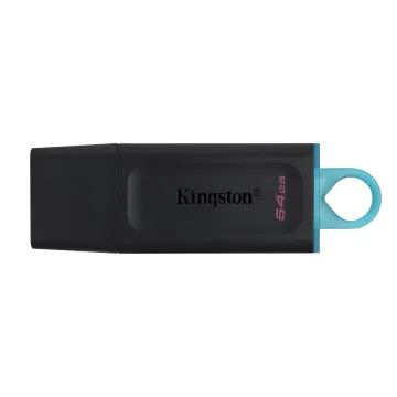 KINGSTON USB FLASH DTX/64GB