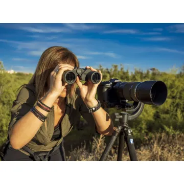 Olympus Binoculars 8x40 S incl. Case & Strap - 