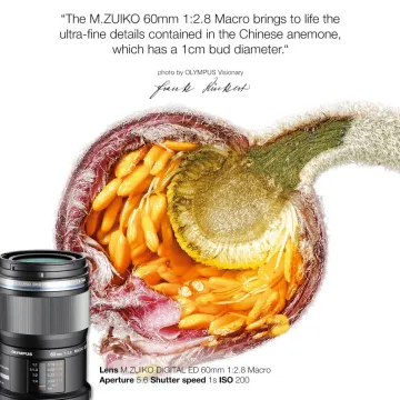 Olympus 60mm 1:2.8 MACRO BLACK M.ZUIKO DIGITAL (EM-M6028) Lense Micro FT - 